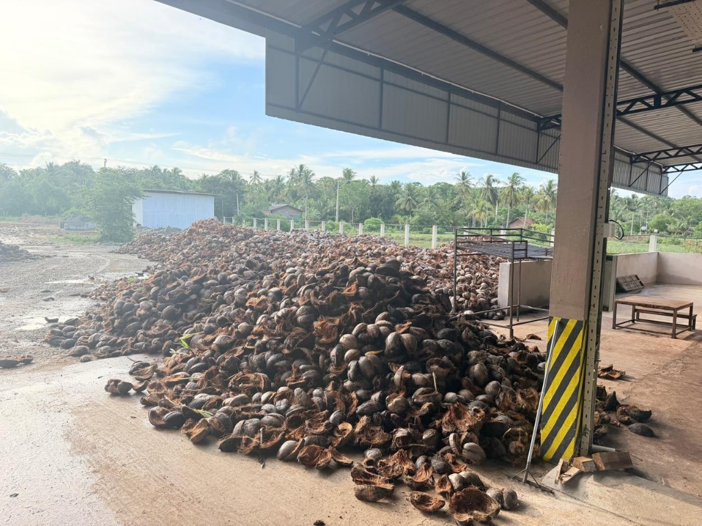 Raw coconuts