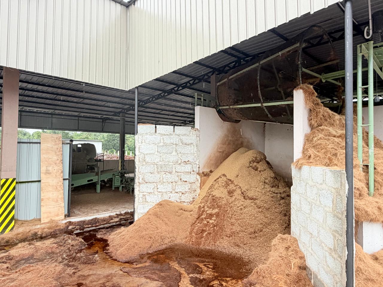 Raw coconut husks stockpile
