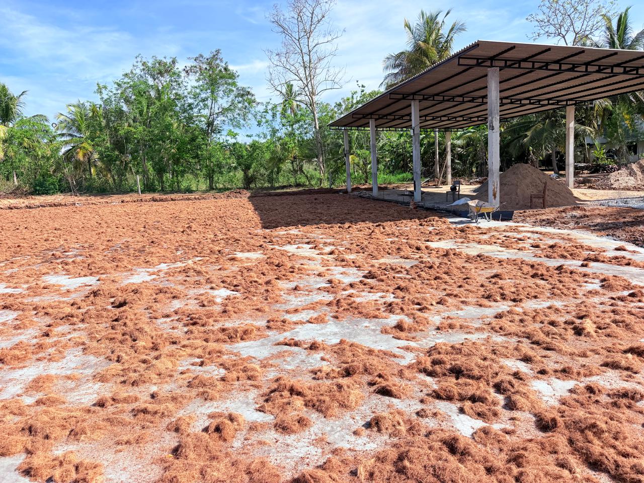 Coco peat drying yard